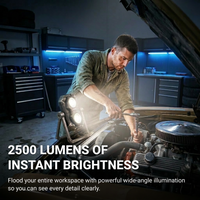 Cyber Rechargeable Work Light