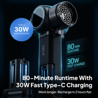 Cybertools AeroBlaze Power Turbo Blower