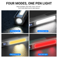 Cyber Professional Pen Light
