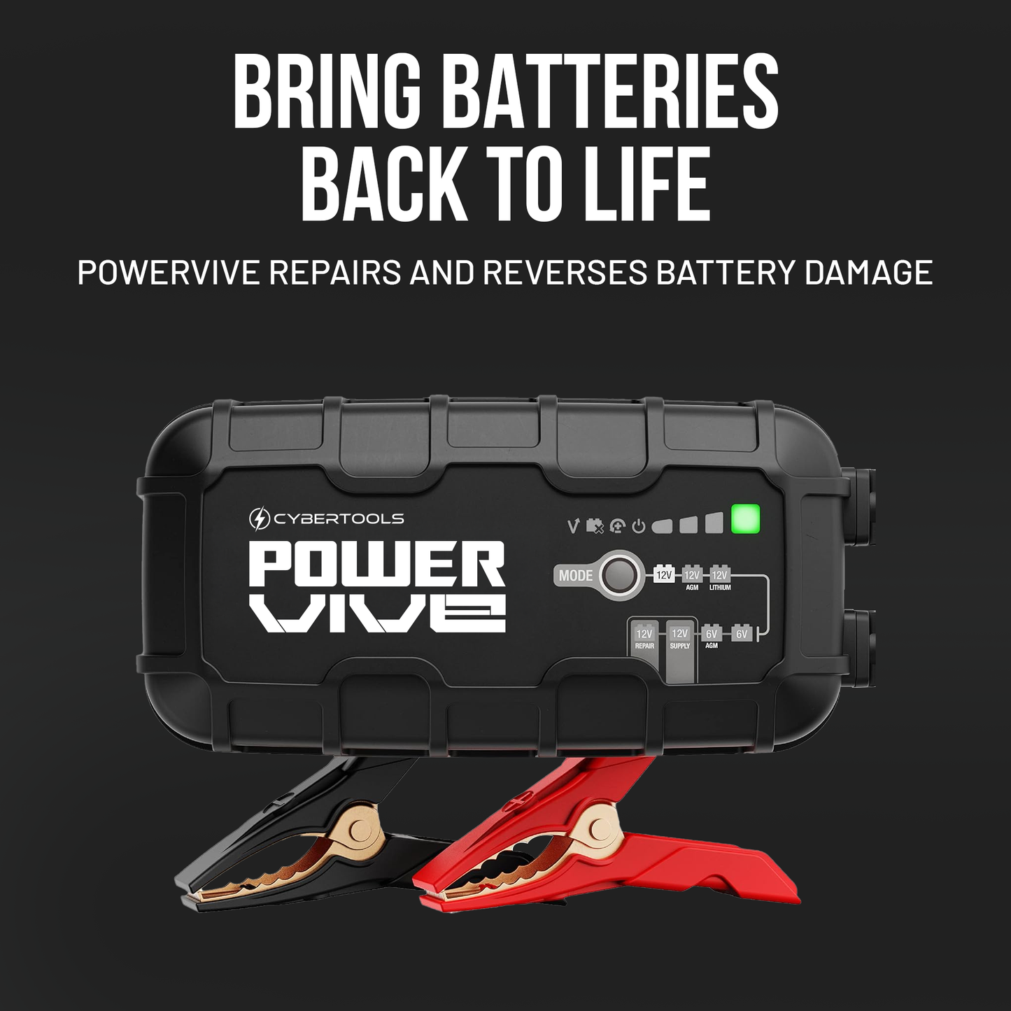 PowerVive Smart Charger