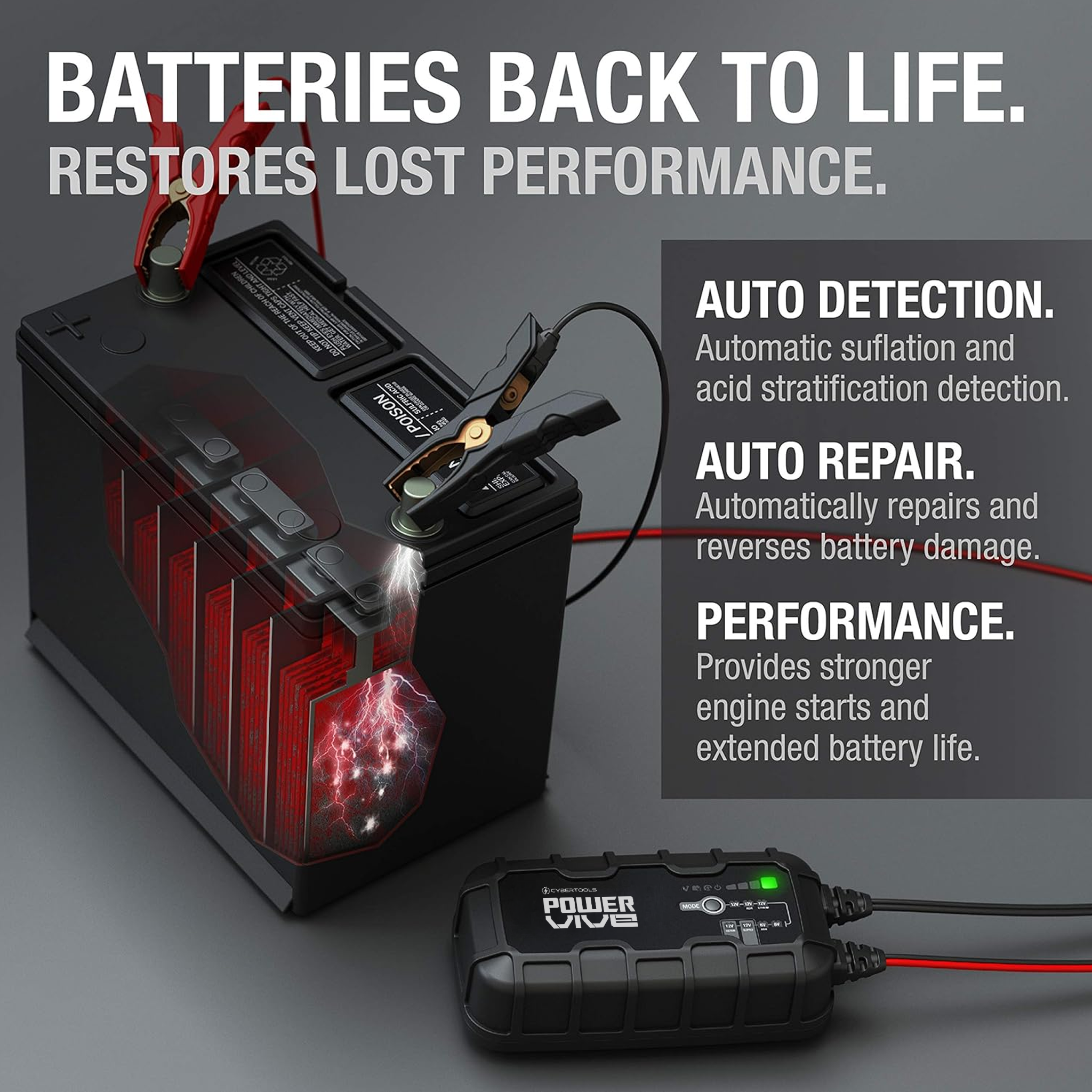PowerVive Smart Charger